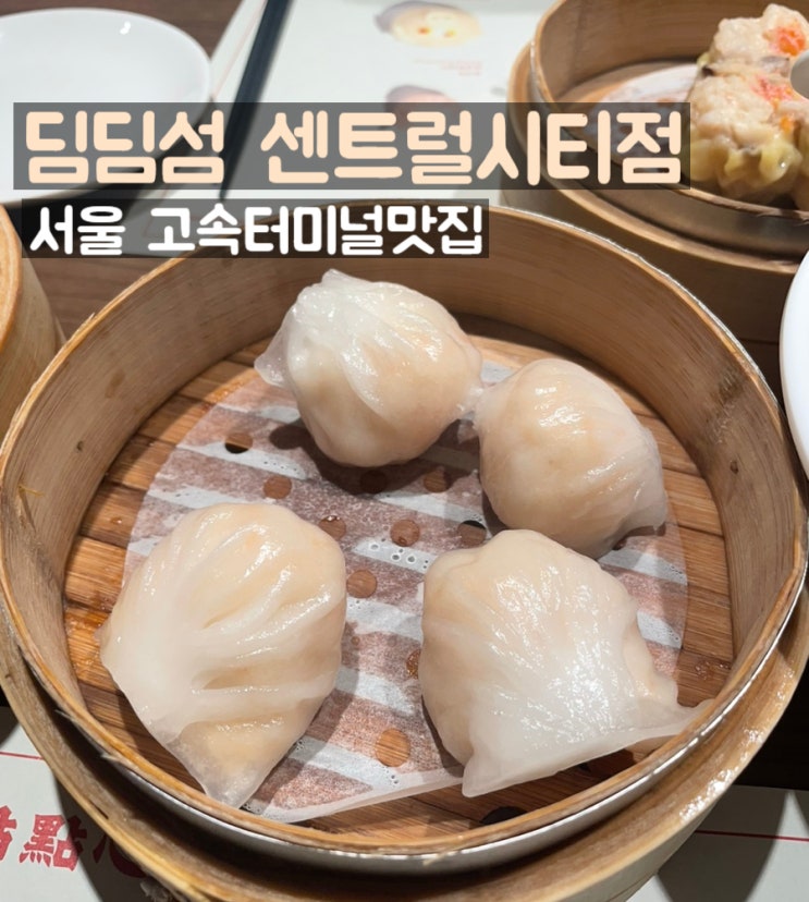 [서울 센트럴시티 / 딤딤섬] 고터맛집, 찾아가는법, 추천메뉴 : 네이버 블로그