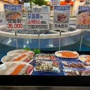 인천 연안부두 정찰제 어시장에서 모듬회사기! 고래마켓 수산시장