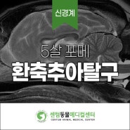 부산 환축추아탈구 수술 후기 - 부산 강아지 신경 전문 24시 센텀동물메디컬센터 연산점