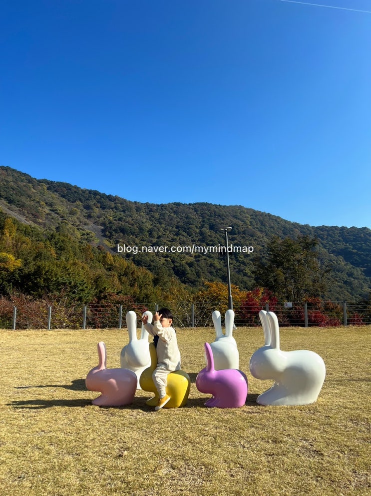 경남 진주 월아산 자연휴양림 숲속의진주/ 아이와가볼만한곳!...