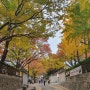 열린송현 & 정독도서관 | 서울 단풍명소 코스모스밭 가을 데이트 추천