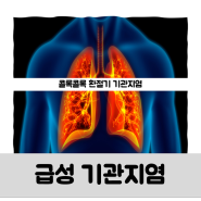 환절기 급성 기관지염 원인 증상 치료 예방