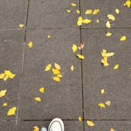 가을, 똥 밟고 기분 좋음!
