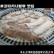 코타키나발루 맛집/고기뷔페/무한리필 가능