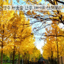 성수 서울숲 단풍 데이트 산책 코스 가는법 주차 즐기기