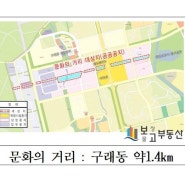 김포 구래동 "문화의 거리" 주변 상가 활성화 대박