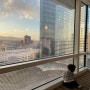 라스베가스 호텔 아리아리조트 ,아이와 여행한 후기