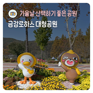 산책하기 좋은 공원 금강로하스대청공원