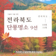전북 여행 가을여행 가을에 가볼 만한 전라북도 단풍 명소 9선