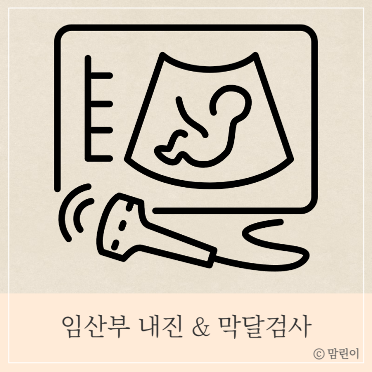 임산부 내진 임신 막달 태동검사 알아보기 : 네이버 블로그