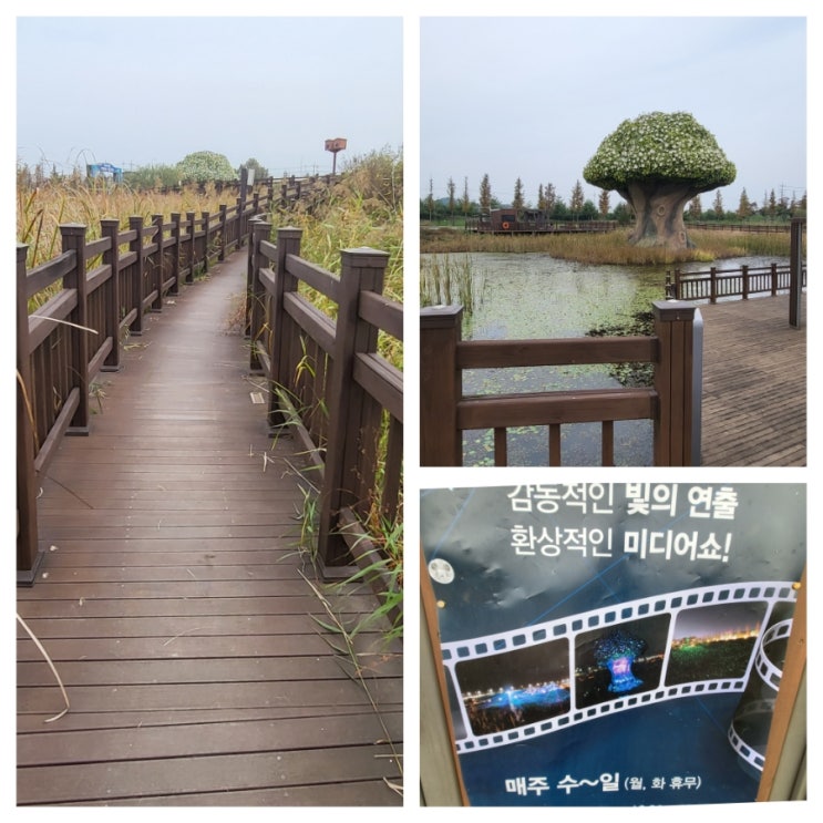 임진각 평화누리 수풀누리 공원 산책로 걷기 좋은 길 : 네이버 블로그
