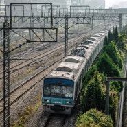 3분기(8~10월 + 11월 일부) 전동열차 사진 모음