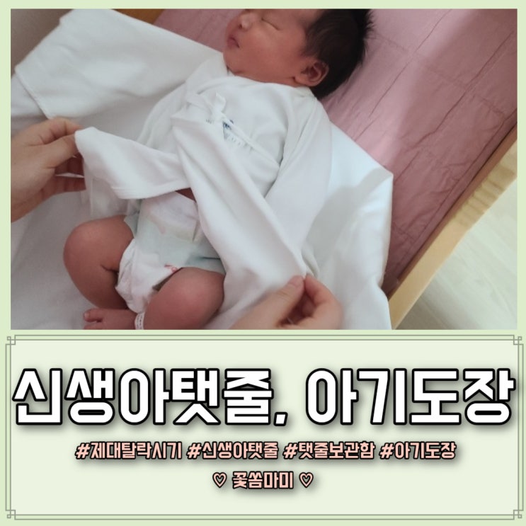 신생아탯줄 제대탈락시기 탯줄도장 아기도장만들기 w.탯줄보관함 : 네이버 블로그