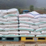 쌀 공장 정미소 쌀 도정작업