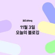 [20.Blog] 11월 3일 오늘의 블로깅