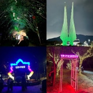 천안 독립기념관 단풍나무길 야간개장 다녀옴🌕 단풍축제 운영시간 상세정보 총정리