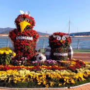 2023 마산국화축제 꽃구경 창원가을축제 가볼만한곳