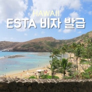 하와이 신혼여행준비 ESTA 미국 비자 셀프 신청하는 방법