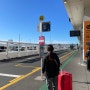 퀸즈타운 여행 1일차 :: Mangare Mountain / 망가레에서 시간 보내기 / 오클랜드 국내선 공항 / 퀸즈타운 비카드