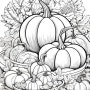 가을농사 추수 이미지 호박 Autumn image pumpkin 밑그림 스케치 어르신색칠공부
