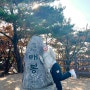 서울 단풍명소 청계산 초보 등산코스 청계산입구역-매봉