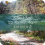 늦게 만난 영천 팔공산 치산계곡 수도사 단풍 ~ feat. 오라지 풍경