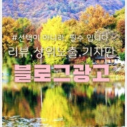 포천블로그광고 마케팅 남양주 동두천 잘하는 곳