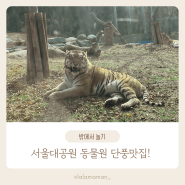아이랑 과천 서울대공원 동물원 단풍 구경! 할인, 주차 팁!