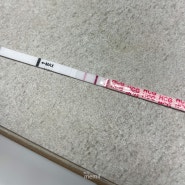 [👶🏻-254] 임신준비부터 확인까지 / 스마일 배테기 / 산전검사 / 임신 4주 / 극초기 증상