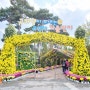 대전 가을 나들이 아이와 가볼만한곳 유림공원 국화 꽃 축제 (개화 상황)