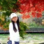 [경북 문경] 가을 단풍 은행 명소 인정, 문경새재 도립공원 인생사진