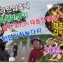 연천 고려인삼축제/북한땅과 불과 800m 태풍전망대/포천 한탄강 하늘다리/30첩 반찬에 보리밥을? 김삿갓 밥집/설마 캠핑카에서 김치를?