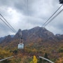 [아이와함께설악산여행] 가을 단풍 구경 산행(흔들바위) & 권금성 케이블카