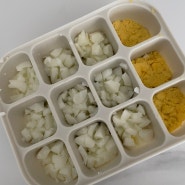 [육아일기] 아기 계란 노른자 흰자 테스트 / 큐브이유식