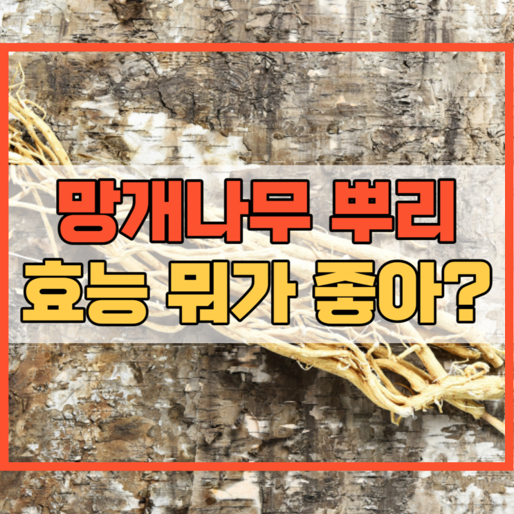 망개나무 뿌리 효능 어디에 좋을까요? : 네이버 블로그