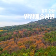 서울근교 안양 단풍 명소 안양예술공원 수목원 계곡 안양전망대
