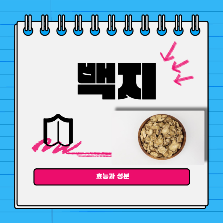 탈모에 좋은 백지(구릿대)효능과 성분 약리작용과 임상응용 : 네이버 블로그