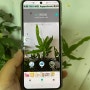 [왓캠] 꽃 식물 이름 찾기 앱 하나면 식물도감 어플이 필요없어요!
