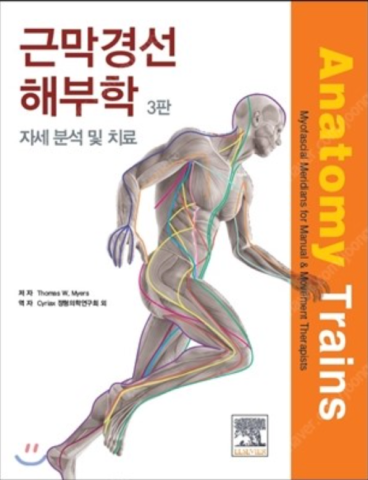 근막 경선 해부학 공부 서론 - 뼈 근육 근막 연결 통합적 시야 : 네이버 블로그