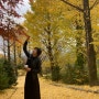 [힐링여행/가을여행] 노란색, 빨간색, 초록색 등의 향연, 가을의 진수 영주 부석사