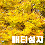 배티성지 & 배티고개, 충북 진천에서 만난 숨겨진 단풍 명소, 사람 없는 가을나들이 성지.