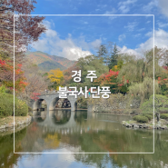 경주 불국사 단풍 명소 주차 입장료 정문 여행 코스