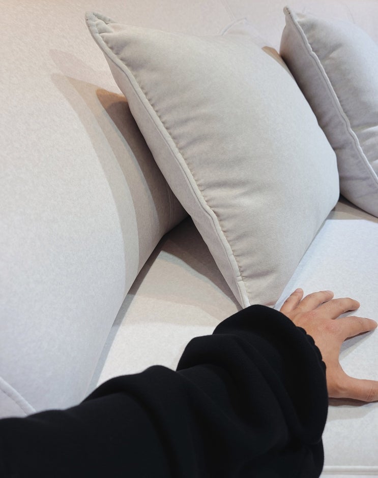 조야(ZOYA) 원단 소파 : 기능성 패브릭 : 네이버 블로그
