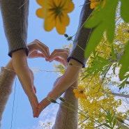 경주 가을여행 도리마을 은행나무숲과 도리뜰카페 (feat. 대왕은행잎사진 찍는법)
