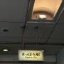 일본 여행 이심 추천, 이심이지 eSIM 사용 후기 (홋카이도 삿포로, 데일리플랜, 소프트뱅크)