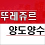 대전 뚜레쥬르 양도양수 창업 매물 순익 1천만원