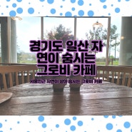 [내돈내산] 서울근교 일산 그로비 카페 자연을 보는 카페