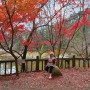 [평창] 가을에 걷기 좋은 월정사 전나무숲길
