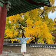 20231104 경복궁 돌담길, 성균관대 명륜당, 남대문호떡, 성수동빵지순례, 제스티살룬