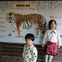 전주 동물원 아이와 가볼만한곳 추천